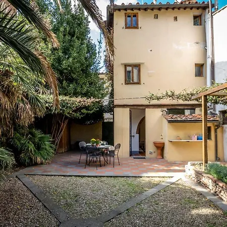 Acacia - Palma Флоренция