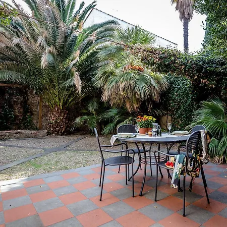 Acacia - Palma * فلورنس