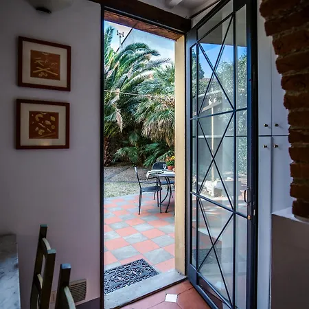 Acacia - Palma * Florencia